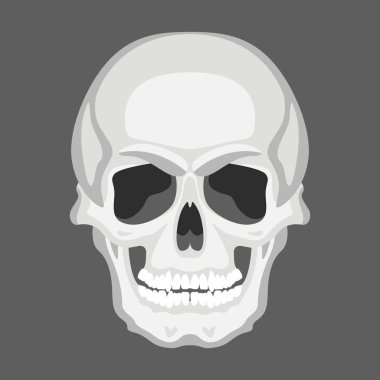 kafatası insan, vektör çizim, düz stil, açık