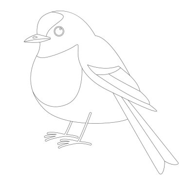 sinekkapan kuş, vektör çizim, çizim, profil astar 