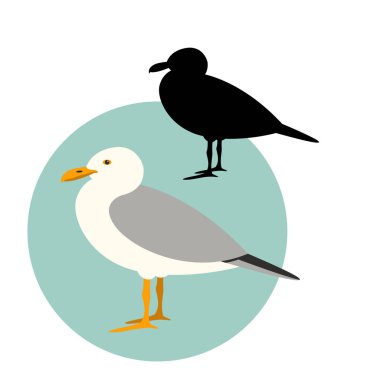 Martı kümesi, siluet vektör çizim, düz stil