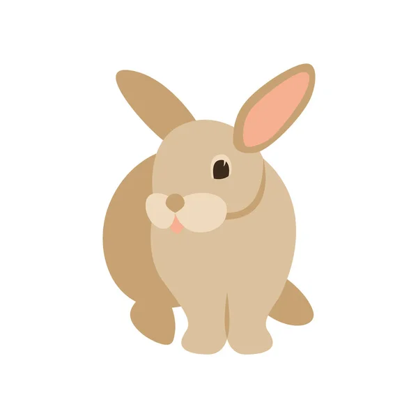 Dibujos animados conejo, vector de ilustración, frente — Vector de stock