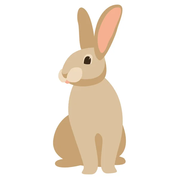 Cartoon rabbit, vector illustration ,  front — Stock Vector