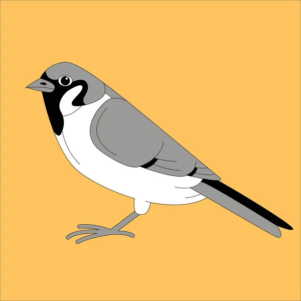 Bird sparrow, vector illustration, flat style, — Stock Vector