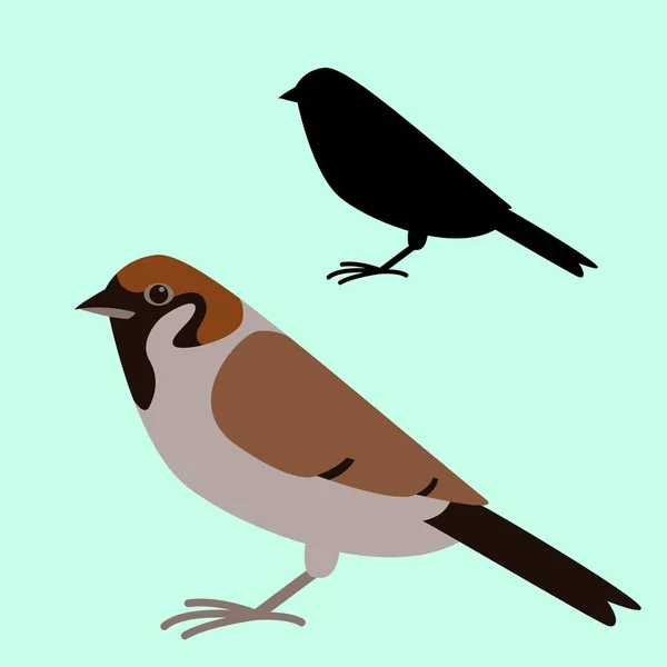 Bird sparrow, vektorillustration, platt stil, — Stock vektor