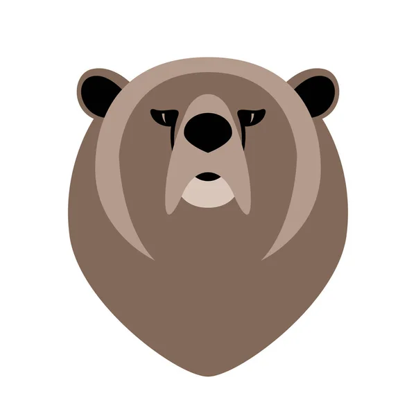 Cara de oso, ilustración vectorial, vista frontal , — Archivo Imágenes Vectoriales