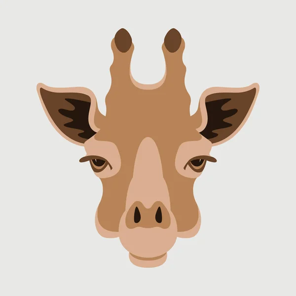 Visage girafe, illustration vectorielle, vue de face , — Image vectorielle