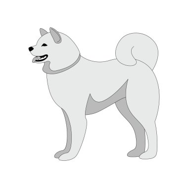 Akita köpek, vektör çizim, çizim astar 