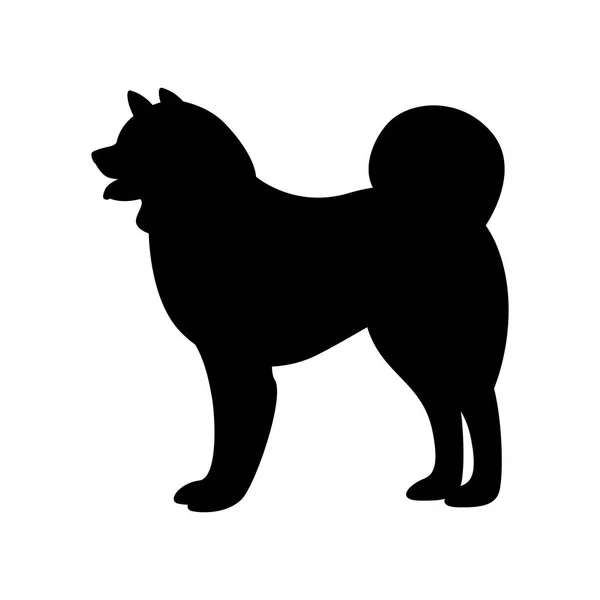 Chien akita, illustration vectorielle, silhouette noire — Image vectorielle