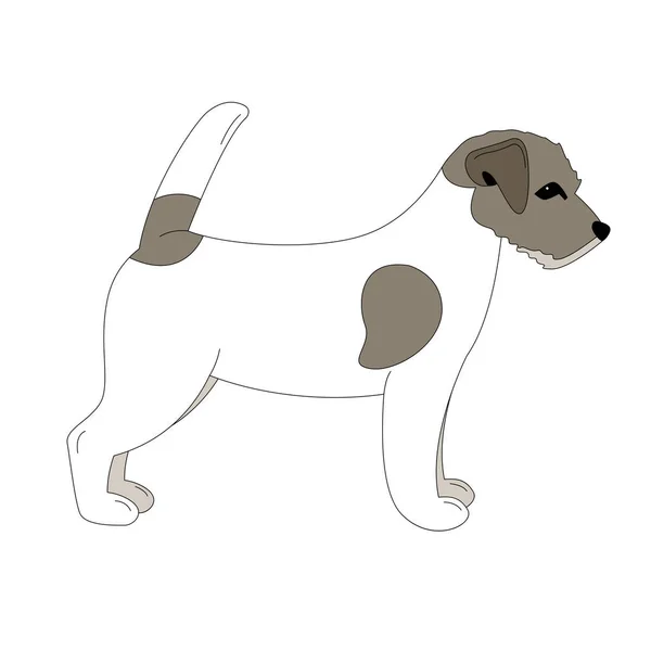 Filhote de cachorro Terrier Jack Russell, ilustração vetorial, desenho forro — Vetor de Stock