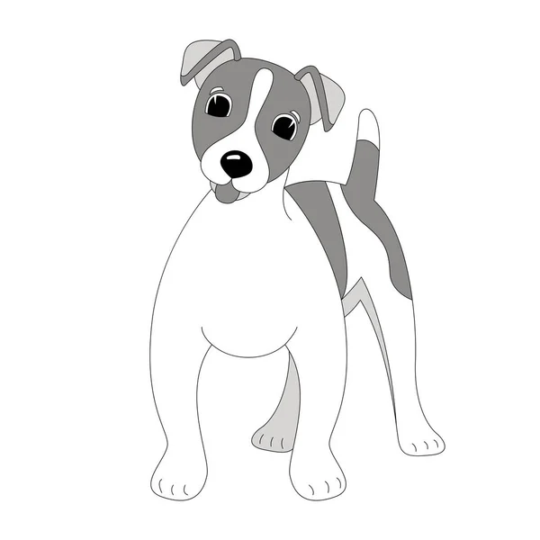 Filhote de cachorro Terrier Jack Russell, ilustração vetorial, desenho forro  , — Vetor de Stock
