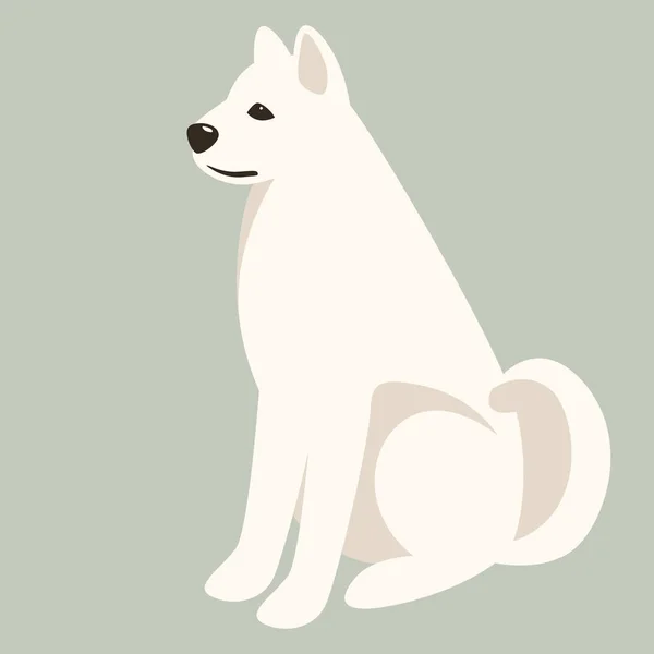 Akita hond, vectorillustratie, vlakke stijl, — Stockvector