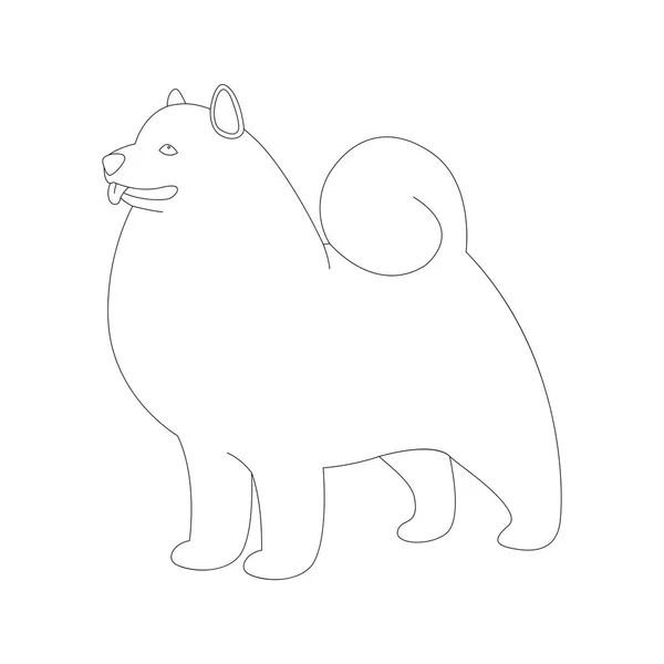 Chien akita, illustration vectorielle, dessin de doublure , — Image vectorielle