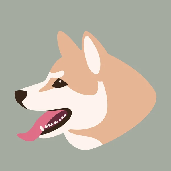 Kepala anjing akita, ilustrasi vektor , - Stok Vektor