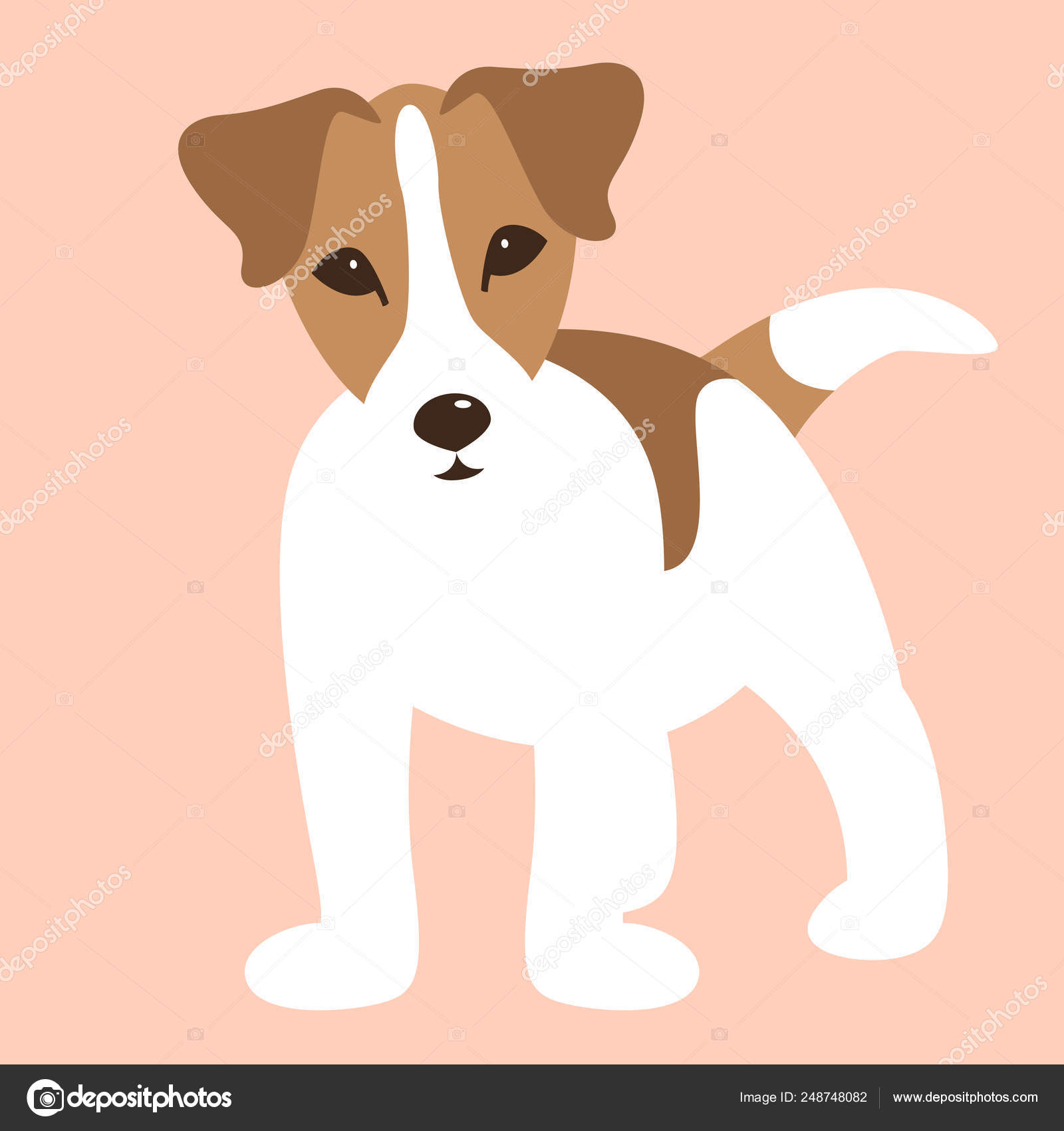 ラッセル テリア子犬 ベクトル イラスト ストックベクター C Wectors 248748082 ラッセル テリア子犬 ベクトル イラスト ストックベクター C Wectors 248748082
