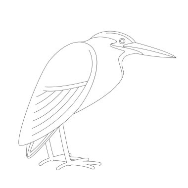 Yeşil balıkçıl, vektör çizim, yan profil