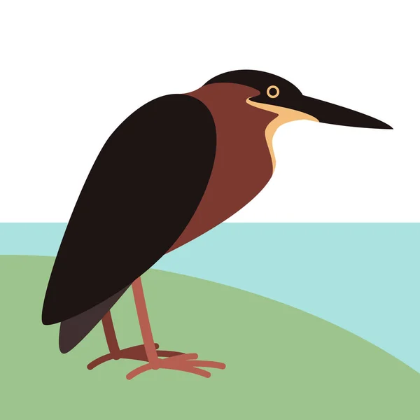 Gröna heron, vektorillustration, profil sida, — Stock vektor