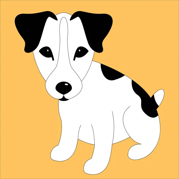 Russell Terrier cachorro, vector de ilustración , — Vector de stock