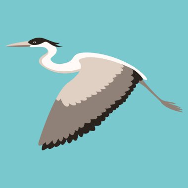 Heron Bird, vektör illüstrasyon, düz stil