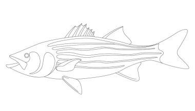 Free Free 303 Striped Bass Svg Free SVG PNG EPS DXF File
