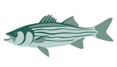 Bass Fish Outline Free Vector Eps Cdr Ai Svg Vector Illustration Graphic Art