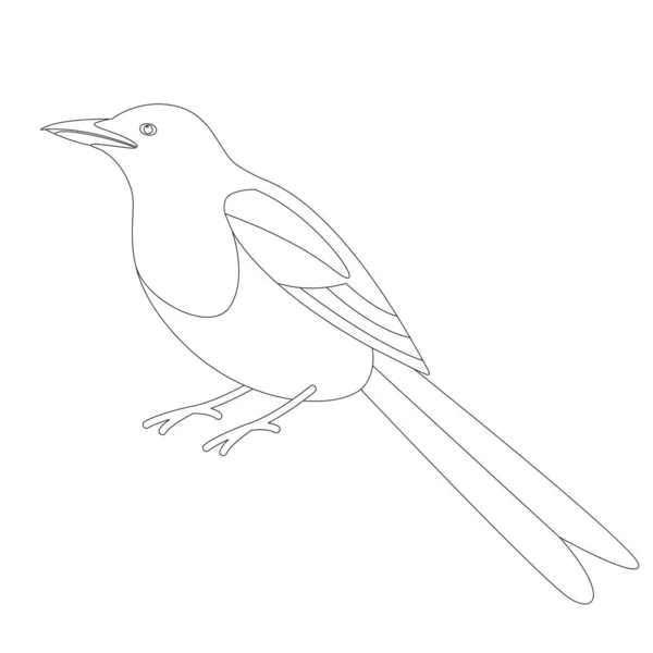 Saksağan kuş, vektör illüstrasyon, astar çizmek — Stok Vektör