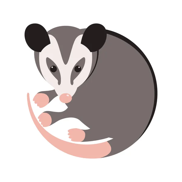 Cartoon opossum, vector illustration, flat style — Stock Vector