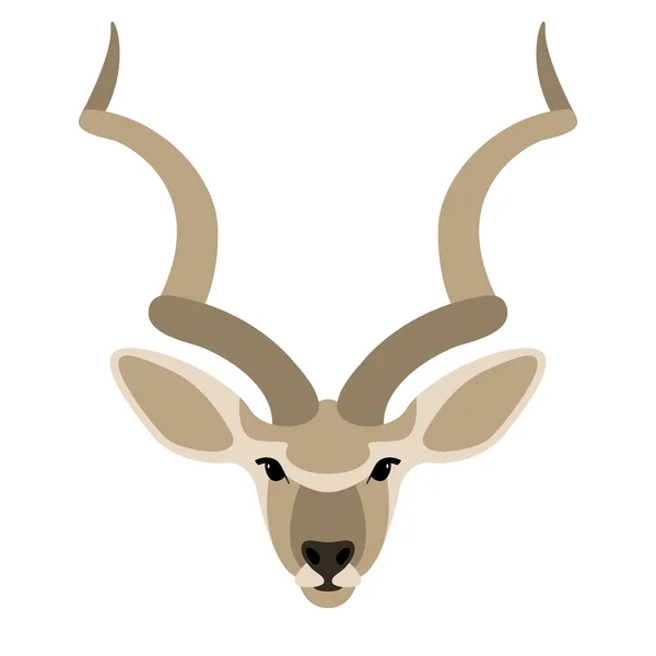 Antilop ansikte, vektor illustration, platt stil, fram — Stock vektor