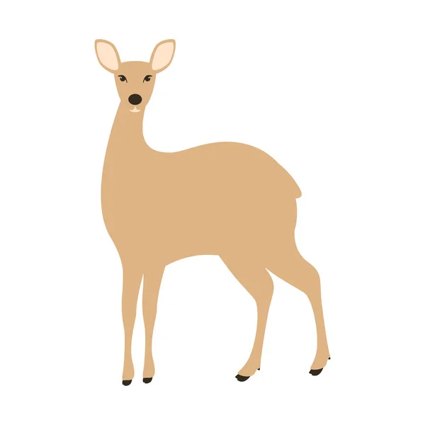 Antelope , vector illustration,flat style,front — Stock Vector