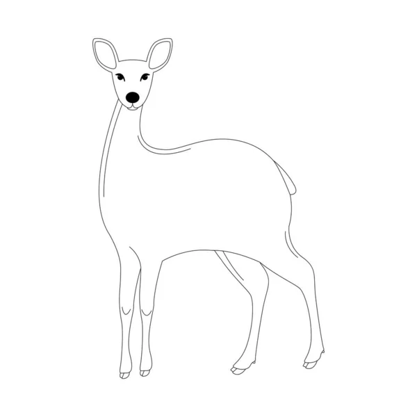Antelope, vector illustratie, voering tekenen, voorzijde — Stockvector