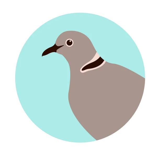 Głowa gołębia, ilustracja wektorowa, płaski styl, profil — Wektor stockowy