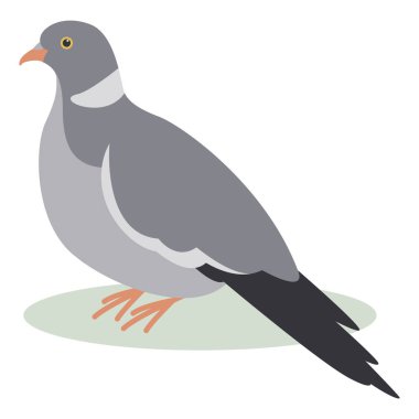 turtledove, vektör illüstrasyon, düz stil, profil