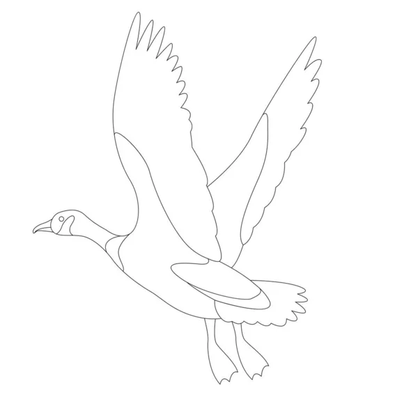 Goose canadian, .vector illustration, lining draw, profile — стоковый вектор