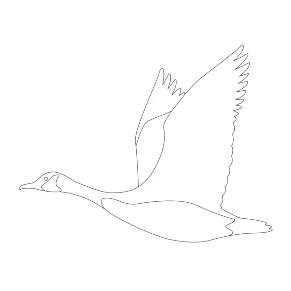Oie canadienne, illustration vectorielle, dessin de la doublure, profil — Image vectorielle