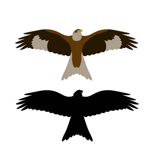 Eagle Hawk .Vector Illustration, flacher Stil, Vorderseite — Stockvektor