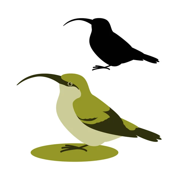 Vogel oahu akialoa, Vektorillustration, flacher Stil, Silhouette — Stockvektor