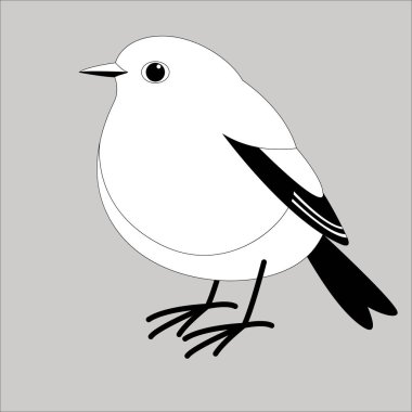 kuş plumbeous su redstart, vektör illüstrasyon, astar 