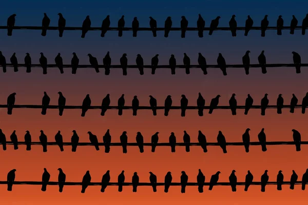 Gün batımı arka planda Güvercinsiyah siluetleri