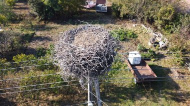 Macaristan 'ın kırsal kesimlerinde elektrik hatları olan bir elektrik direğine inşa edilmiş büyük bir leylek yuvasının havadan görünüşü. Kırsal alandaki boş bir kuş yuvası, vahşi yaşamı ve korunmayı temsil ediyor..