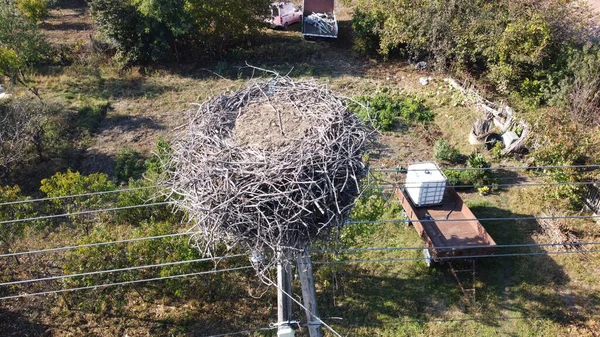 Macaristan 'ın kırsal kesimlerinde elektrik hatları olan bir elektrik direğine inşa edilmiş büyük bir leylek yuvasının havadan görünüşü. Kırsal alandaki boş bir kuş yuvası, vahşi yaşamı ve korunmayı temsil ediyor..