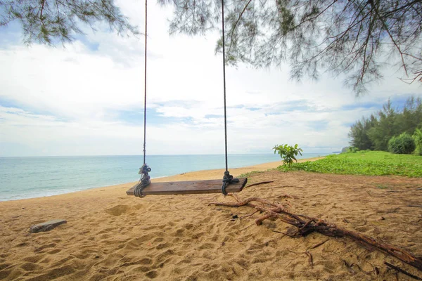 Schaukel Hängt Von Kokospalme Über Strand — Stockfoto