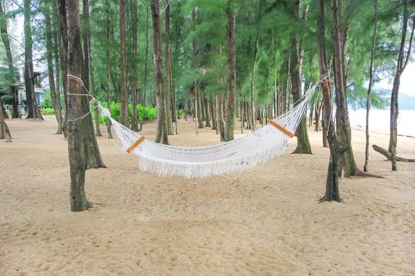 Tropical Paradise Beach Sunset Hammock Hanging Pine Trees — Stock Photo, Image