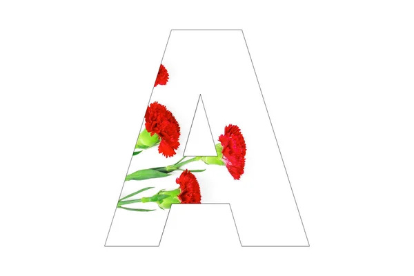 Bloem Lettertype Alfabet Gemaakt Van Carnation Bloemen Witte Achtergrond — Stockfoto