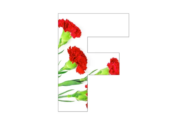 Bloem Lettertype Alfabet Gemaakt Van Carnation Bloemen Witte Achtergrond — Stockfoto