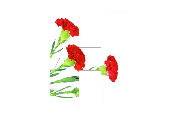 Λουλούδι Γραμματοσειρά Αλφάβητο Κάνει Γαρύφαλλο Λουλούδια Λευκό Φόντο — Φωτογραφία Αρχείου