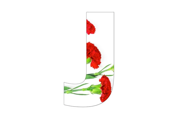 Bloem Lettertype Alfabet Gemaakt Van Carnation Bloemen Witte Achtergrond — Stockfoto