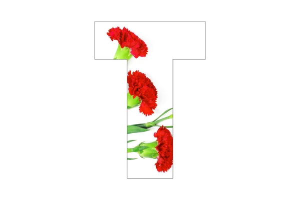 Bloem Lettertype Alfabet Gemaakt Van Carnation Bloemen Witte Achtergrond — Stockfoto