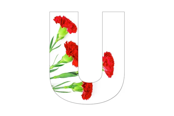 Λουλούδι Γραμματοσειρά Αλφάβητο Κάνει Γαρύφαλλο Λουλούδια Λευκό Φόντο — Φωτογραφία Αρχείου
