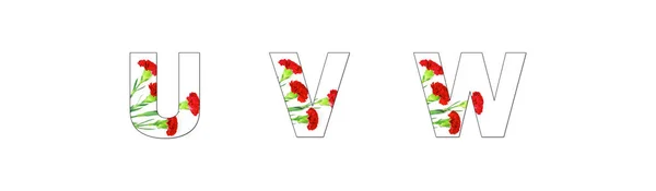 Bloem Lettertype Alfabet Gemaakt Van Carnation Bloemen Witte Achtergrond — Stockfoto