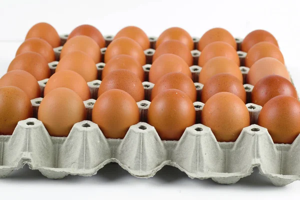 ペイター トレイ白い背景の上に新鮮な卵のグループ — ストック写真