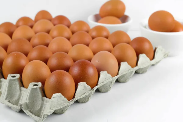 Group Fresh Eggs Pater Tray White Background — Stock Photo, Image