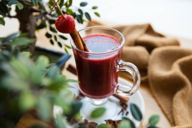 Sıcak mulled şarap cam tarçın ile closeup sopa